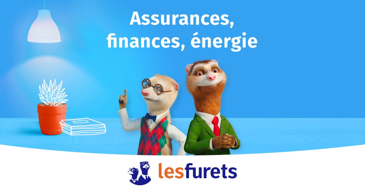 découvrez comment prendre soin de vos furets tout en protégeant votre moto grâce à une assurance adaptée. explorez des conseils pratiques pour concilier vos passions et garantir la sécurité de vos compagnons à poil.