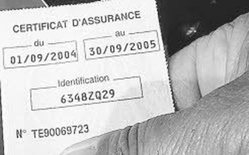 découvrez notre comparateur d'assurances qui vous aide à trouver la meilleure couverture au meilleur prix. comparez facilement les offres des principaux assureurs pour une protection adaptée à vos besoins.